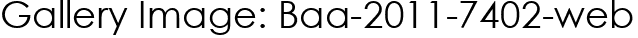 Gallery Image: Baa-2011-7402-web