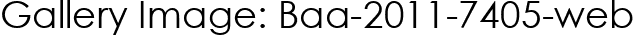 Gallery Image: Baa-2011-7405-web