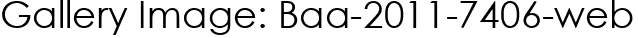 Gallery Image: Baa-2011-7406-web
