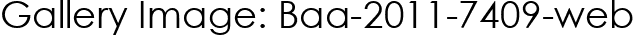 Gallery Image: Baa-2011-7409-web