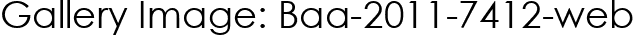 Gallery Image: Baa-2011-7412-web