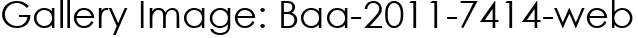 Gallery Image: Baa-2011-7414-web