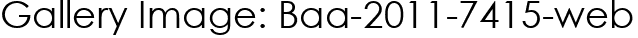 Gallery Image: Baa-2011-7415-web