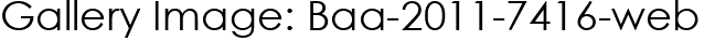 Gallery Image: Baa-2011-7416-web
