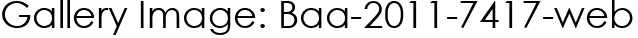 Gallery Image: Baa-2011-7417-web