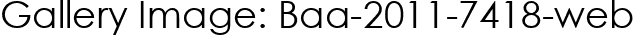 Gallery Image: Baa-2011-7418-web
