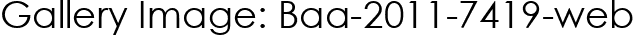Gallery Image: Baa-2011-7419-web