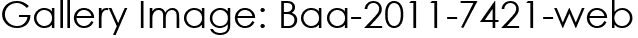Gallery Image: Baa-2011-7421-web