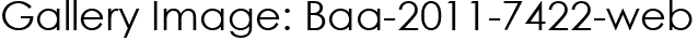 Gallery Image: Baa-2011-7422-web
