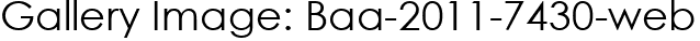 Gallery Image: Baa-2011-7430-web