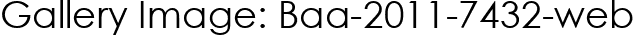 Gallery Image: Baa-2011-7432-web