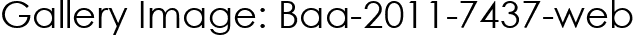 Gallery Image: Baa-2011-7437-web