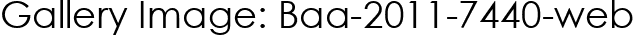 Gallery Image: Baa-2011-7440-web