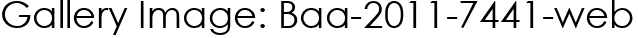 Gallery Image: Baa-2011-7441-web