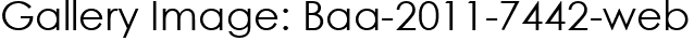 Gallery Image: Baa-2011-7442-web