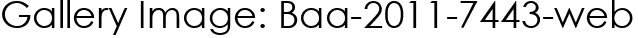Gallery Image: Baa-2011-7443-web