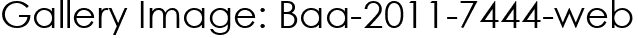 Gallery Image: Baa-2011-7444-web