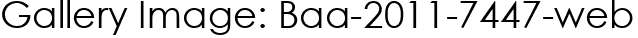 Gallery Image: Baa-2011-7447-web