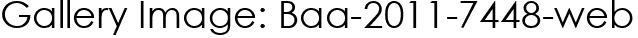 Gallery Image: Baa-2011-7448-web