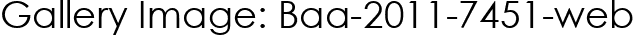 Gallery Image: Baa-2011-7451-web