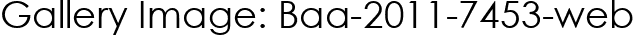Gallery Image: Baa-2011-7453-web