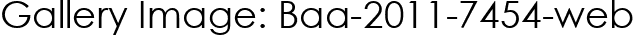 Gallery Image: Baa-2011-7454-web