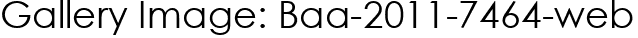 Gallery Image: Baa-2011-7464-web