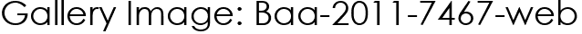 Gallery Image: Baa-2011-7467-web