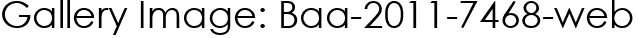Gallery Image: Baa-2011-7468-web