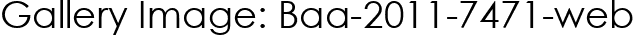 Gallery Image: Baa-2011-7471-web
