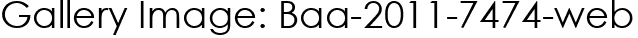Gallery Image: Baa-2011-7474-web