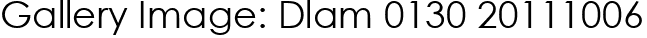 Gallery Image: Dlam 0130 20111006