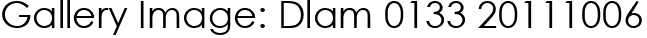 Gallery Image: Dlam 0133 20111006