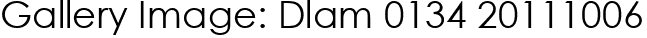 Gallery Image: Dlam 0134 20111006