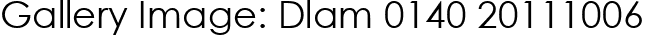Gallery Image: Dlam 0140 20111006