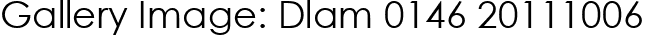 Gallery Image: Dlam 0146 20111006