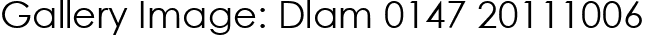 Gallery Image: Dlam 0147 20111006