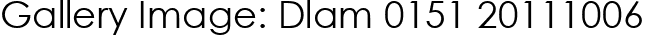 Gallery Image: Dlam 0151 20111006