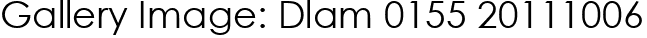 Gallery Image: Dlam 0155 20111006