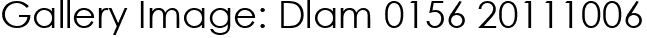 Gallery Image: Dlam 0156 20111006