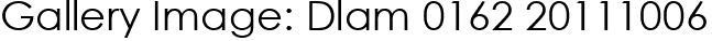 Gallery Image: Dlam 0162 20111006