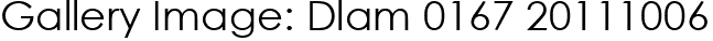 Gallery Image: Dlam 0167 20111006