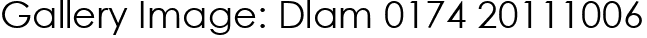 Gallery Image: Dlam 0174 20111006