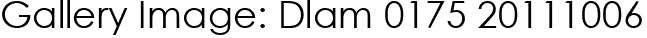 Gallery Image: Dlam 0175 20111006