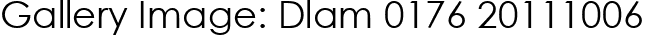 Gallery Image: Dlam 0176 20111006
