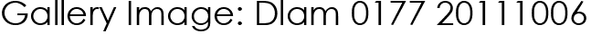 Gallery Image: Dlam 0177 20111006