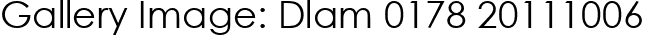 Gallery Image: Dlam 0178 20111006