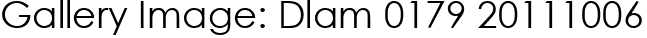 Gallery Image: Dlam 0179 20111006