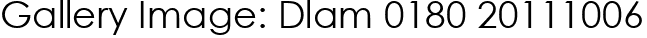 Gallery Image: Dlam 0180 20111006