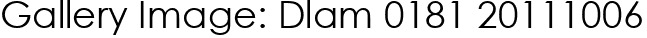 Gallery Image: Dlam 0181 20111006